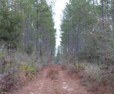 Plantation at Coldwater Creek in Milton, FL